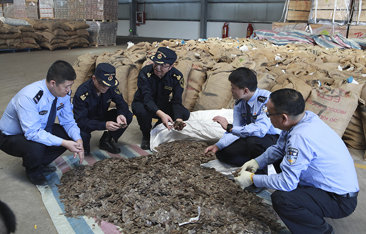 æ­å·æµ·å³ç¼ç§å±èåå°æ¹å¬å®ä¾¦ç ´ä¸èµ·ç¹å¤§ç©¿å±±ç²é³çèµ°ç§æ¡ï¼å¾ï¼